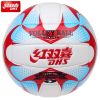 Ballon de volley - Ref 2009009