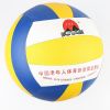 Ballon de volley - Ref 2009017