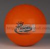 Ballon de volley - Ref 2009034