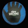 Ballon de volley - Ref 2009037