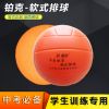 Ballon de volley - Ref 2009107