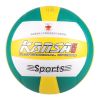 Ballon de volley - Ref 2009118
