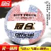 Ballon de volley - Ref 2009140