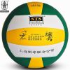 Ballon de volley - Ref 2009154