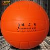 Ballon de volley - Ref 2009164