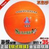 Ballon de volley - Ref 2009165