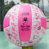 Ballon de volley - Ref 2009202