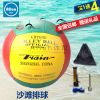 Ballon de volley - Ref 2009230