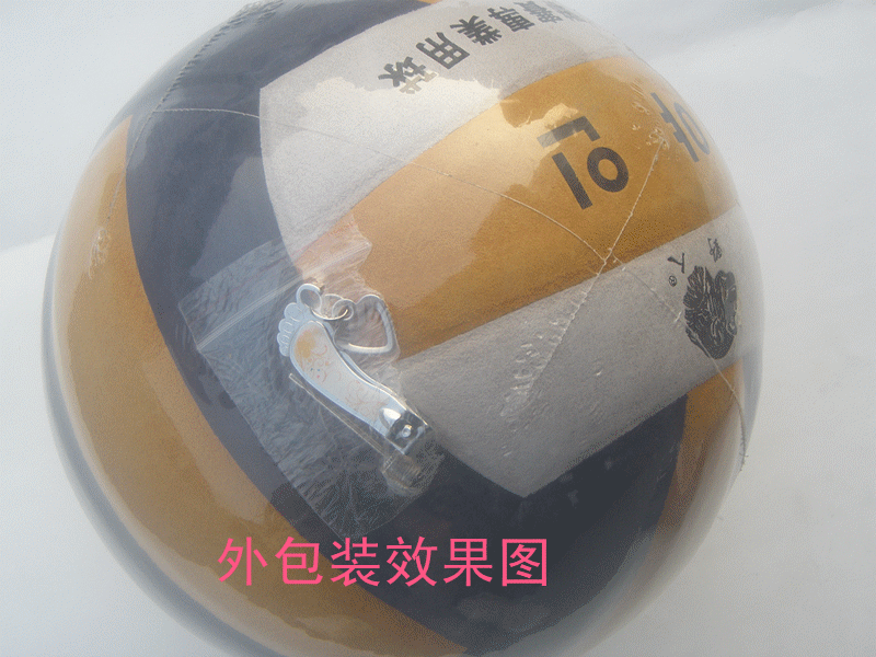 Ballon de volley - Ref 2009301