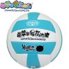 Ballon de volley - Ref 2009370
