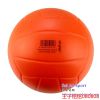 Ballon de volley - Ref 2009403