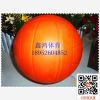 Ballon de volley - Ref 2009476