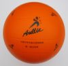 Ballon de volley - Ref 2009524