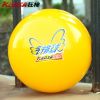 Ballon de volley - Ref 2009527