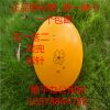 Ballon de volley - Ref 2009619