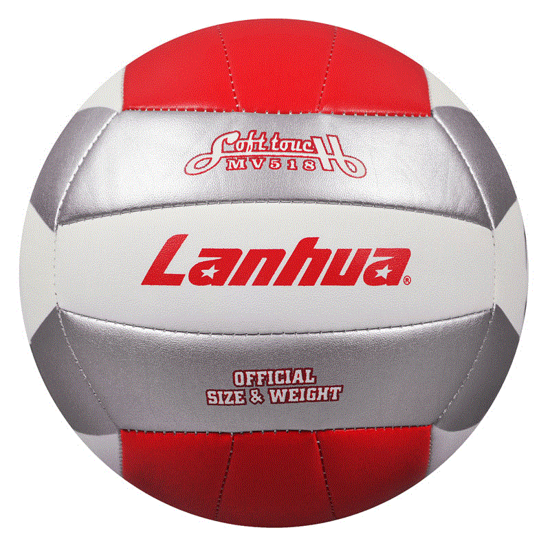 Ballon de volley - Ref 2009683
