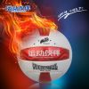 Ballon de volley - Ref 2009757