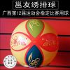 Ballon de volley - Ref 2009912