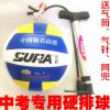 Ballon de volley - Ref 2009919