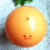 Ballon de volley - Ref 2009950