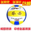Ballon de volley - Ref 2009958