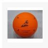 Ballon de volley - Ref 2009990