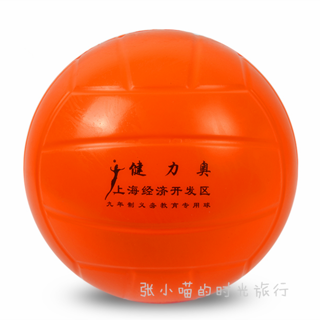 Ballon de volley - Ref 2010010