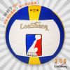 Ballon de volley - Ref 2010019