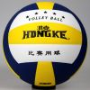 Ballon de volley - Ref 2010027