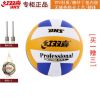 Ballon de volley - Ref 2010084