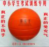 Ballon de volley - Ref 2010095