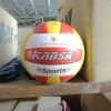 Ballon de volley - Ref 2010145