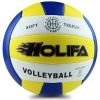 Ballon de volley - Ref 2010148