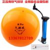 Ballon de volley - Ref 2010150