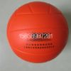 Ballon de volley - Ref 2010157