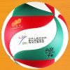 Ballon de volley - Ref 2010161