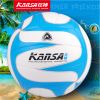 Ballon de volley - Ref 2010178