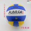 Ballon de volley - Ref 2010233