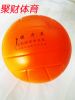Ballon de volley - Ref 2010318