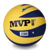 Ballon de volley - Ref 2010321
