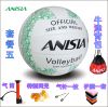 Ballon de volley - Ref 2010324
