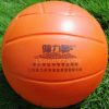 Ballon de volley - Ref 2010333
