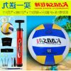 Ballon de volley - Ref 2010441