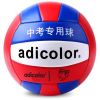 Ballon de volley - Ref 2010463