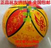 Ballon de volley - Ref 2010480