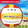 Ballon de volley - Ref 2010484