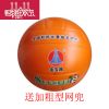 Ballon de volley - Ref 2010512