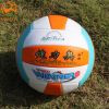 Ballon de volley - Ref 2010518