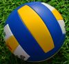 Ballon de volley - Ref 2010530