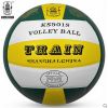 Ballon de volley - Ref 2010677